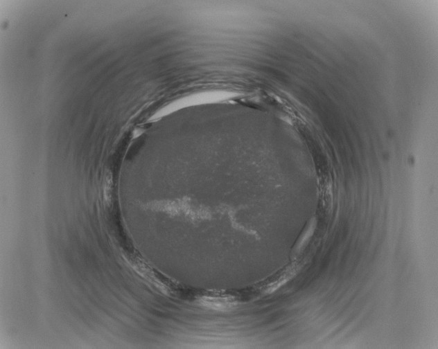 X0000081570556200701291217