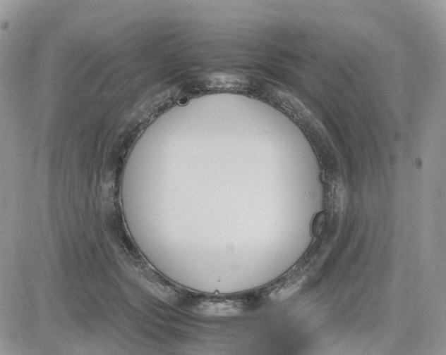 X0000081570557200701291217