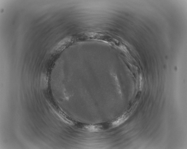 X0000081570558200701291218