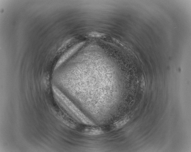 X0000081570559200701291218