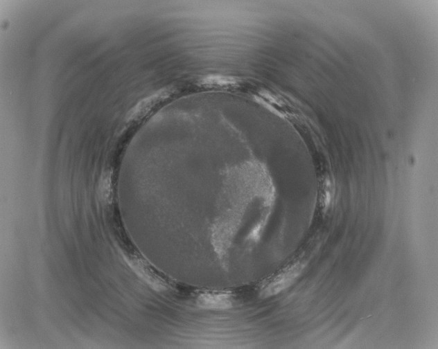 X0000081570560200701291218