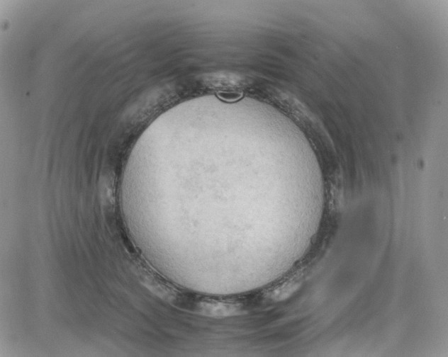 X0000081570561200701291218