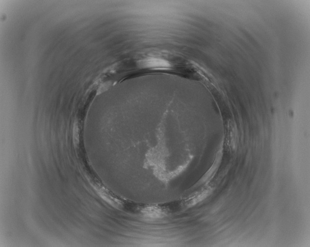 X0000081570562200701291218