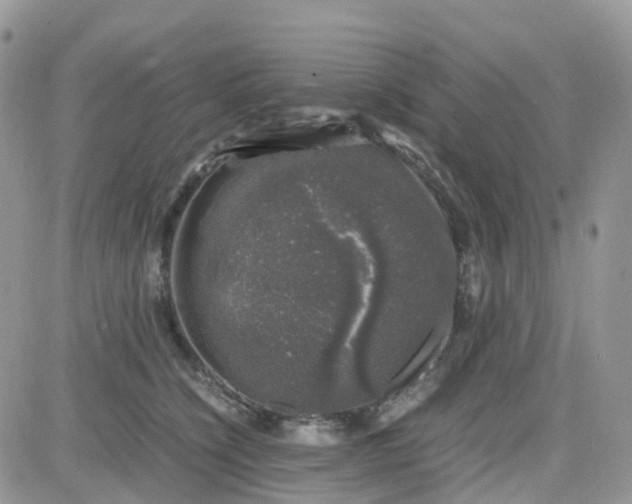 X0000081570564200701291218