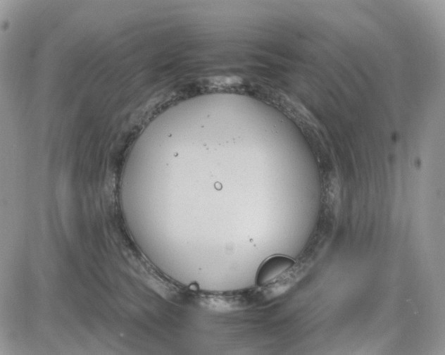 X0000081570565200701291218