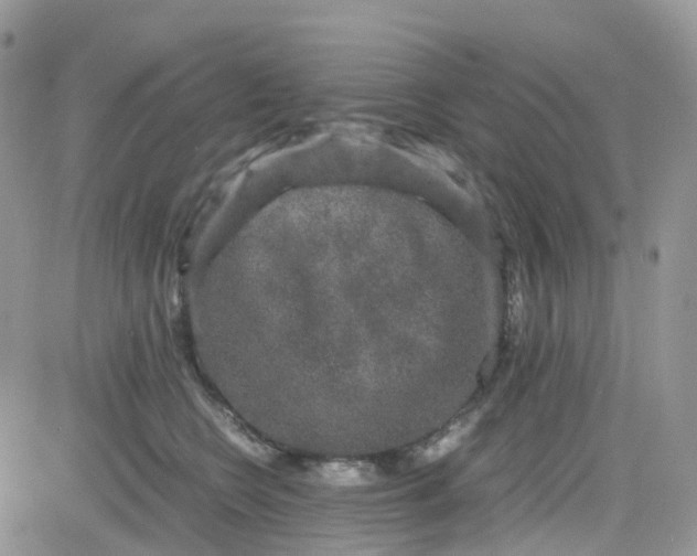 X0000081570566200701291218