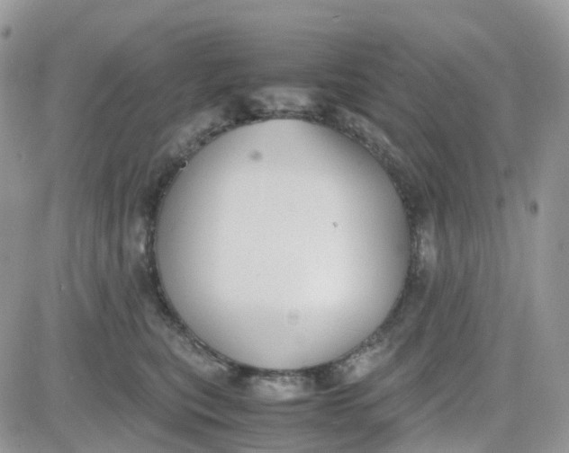 X0000081570567200701291218