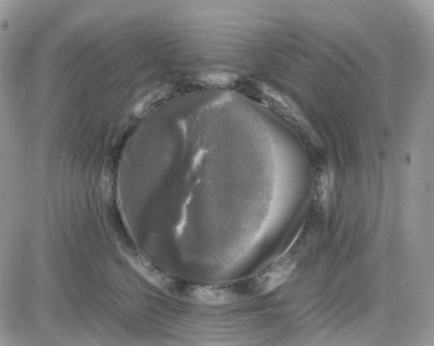 X0000081570568200701291218