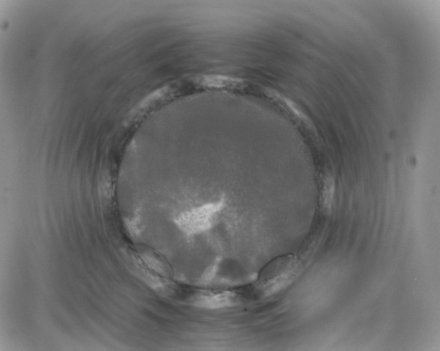 X0000081570569200701291218