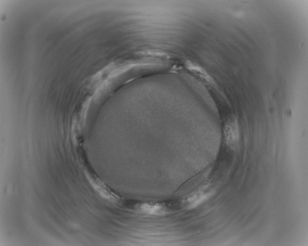 X0000081570570200701291218