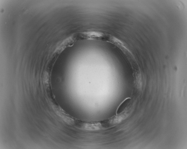 X0000081570571200701291218