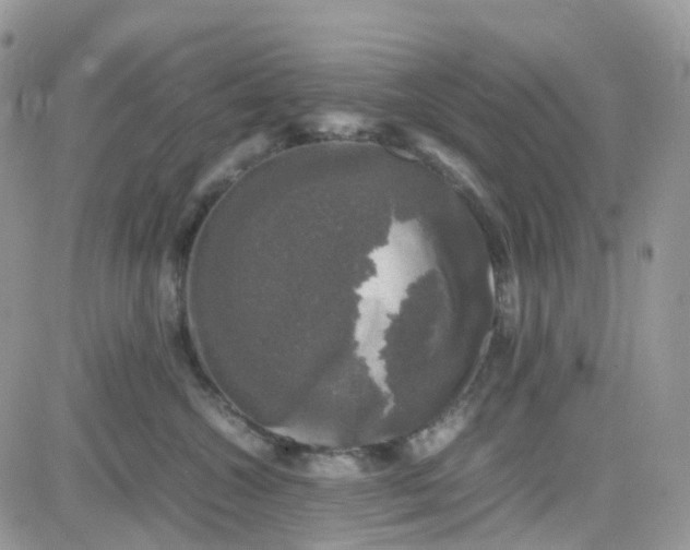 X0000081570572200701291218