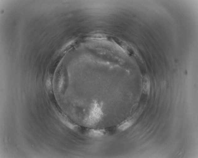 X0000081570573200701291218