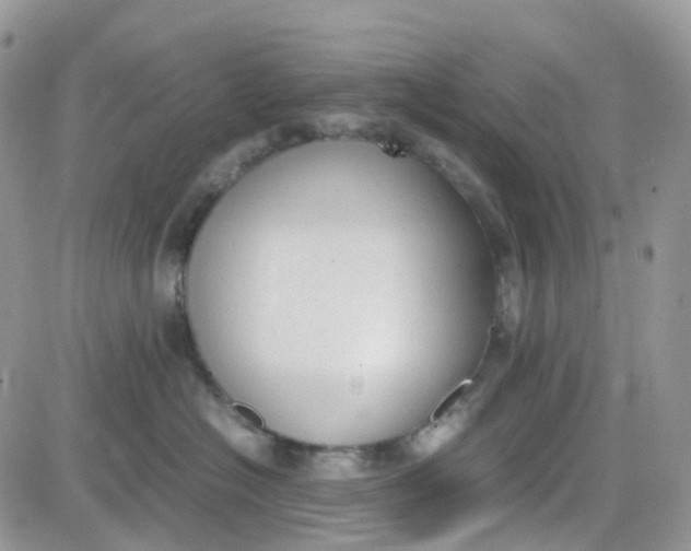 X0000081570574200701291218