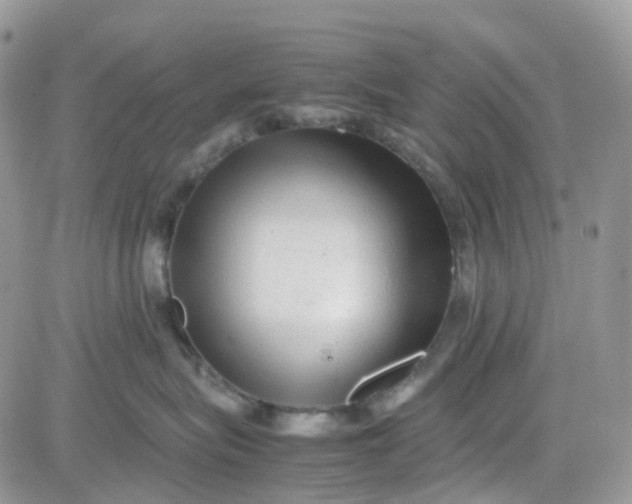 X0000081570575200701291218