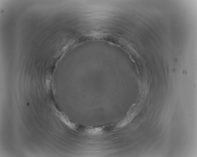 X0000081570576200701291218