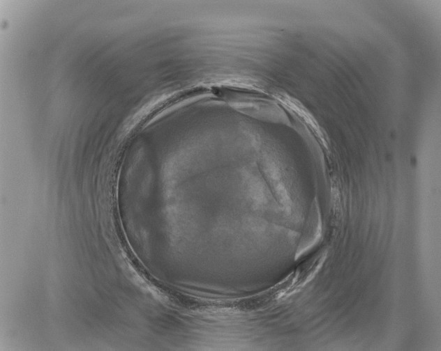 X0000081570577200701291217