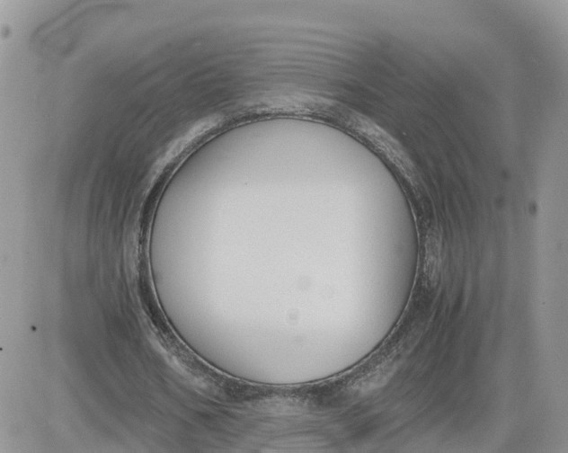 X0000081570578200701291217