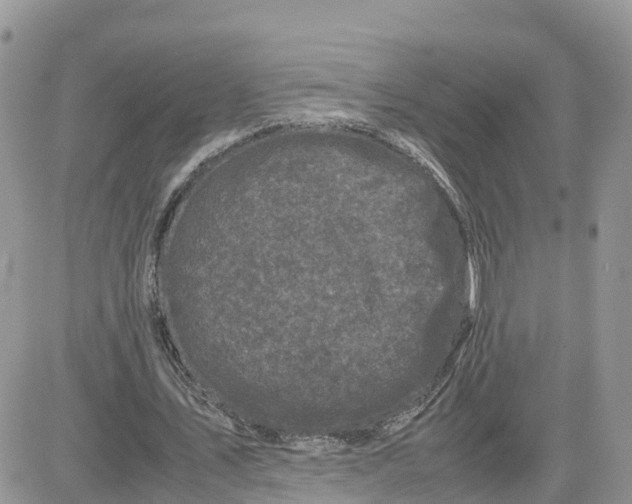 X0000081570579200701291217