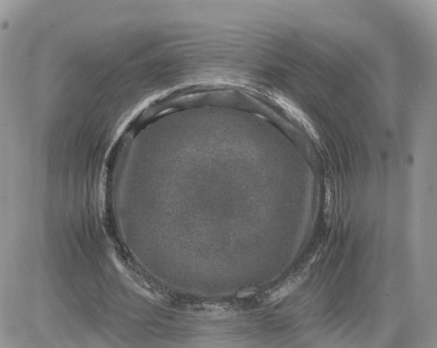 X0000081570580200701291217