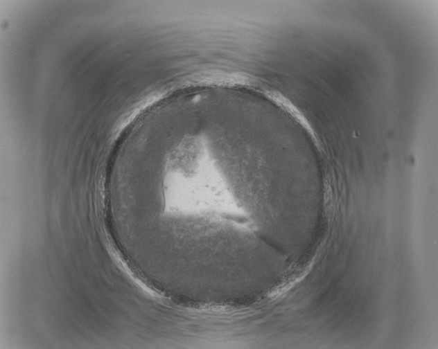 X0000081570581200701291217