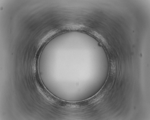 X0000081570582200701291217