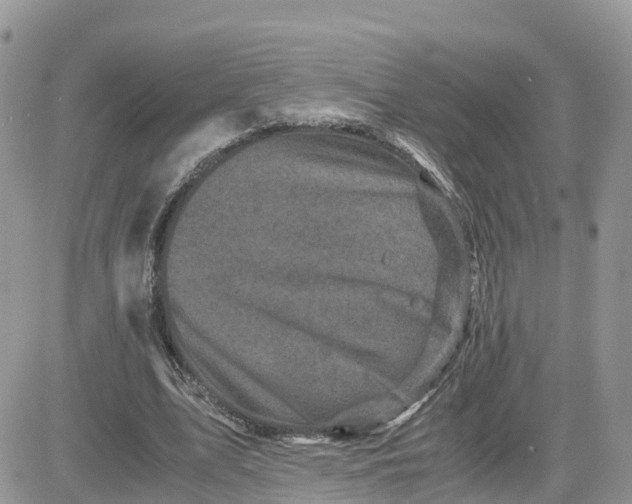 X0000081570583200701291217