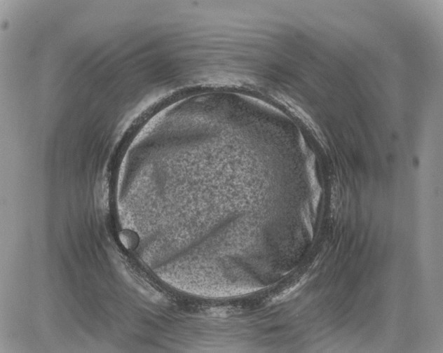 X0000081570584200701291217