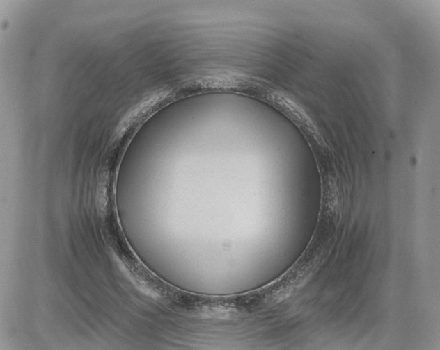 X0000081570586200701291217