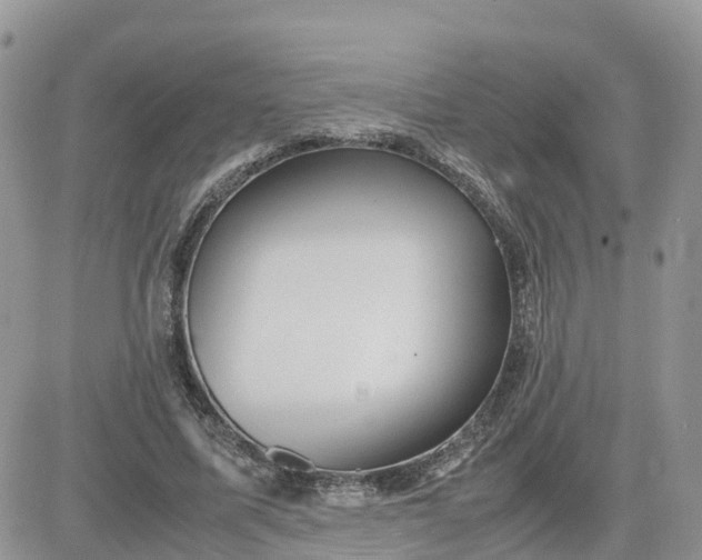 X0000081570587200701291217