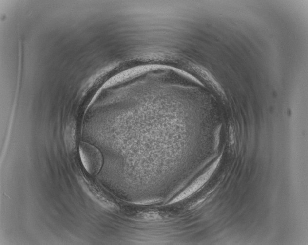 X0000081570588200701291217