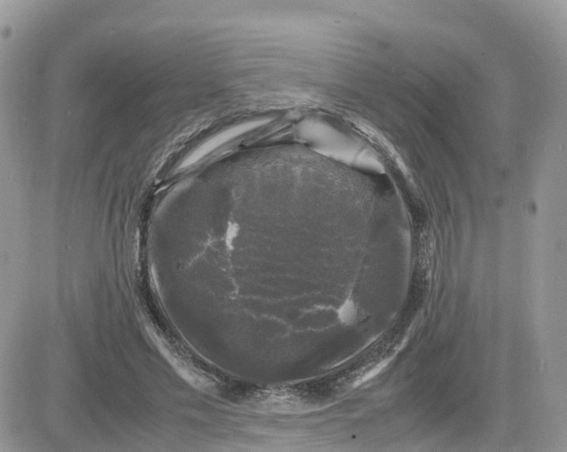 X0000081570589200701291217