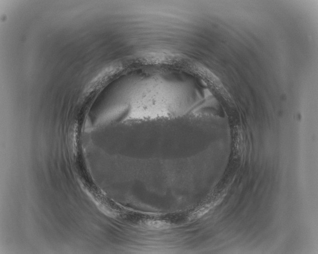 X0000081570590200701291217