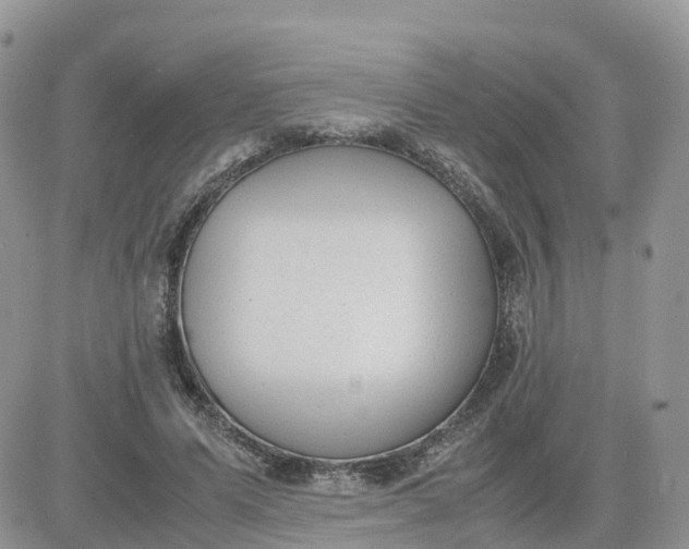 X0000081570591200701291217