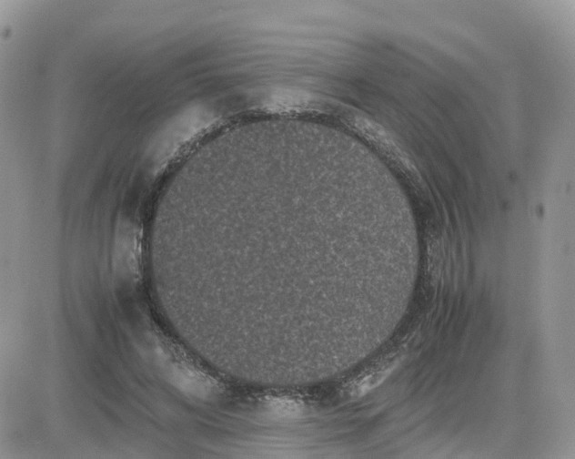 X0000081570592200701291217