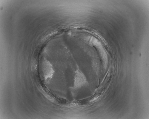 X0000081570593200701291217