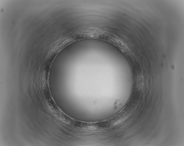 X0000081570594200701291217