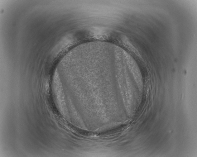 X0000081570595200701291217