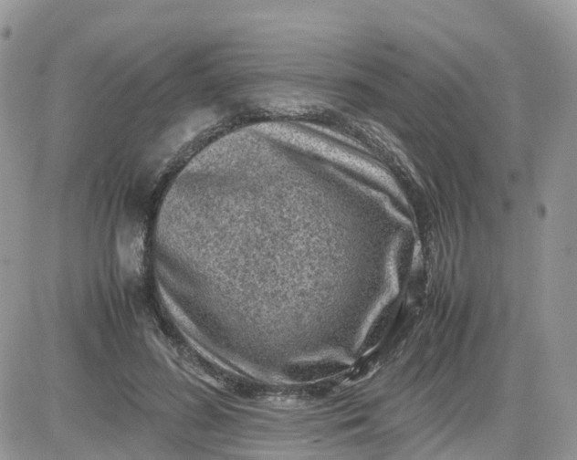 X0000081570596200701291217