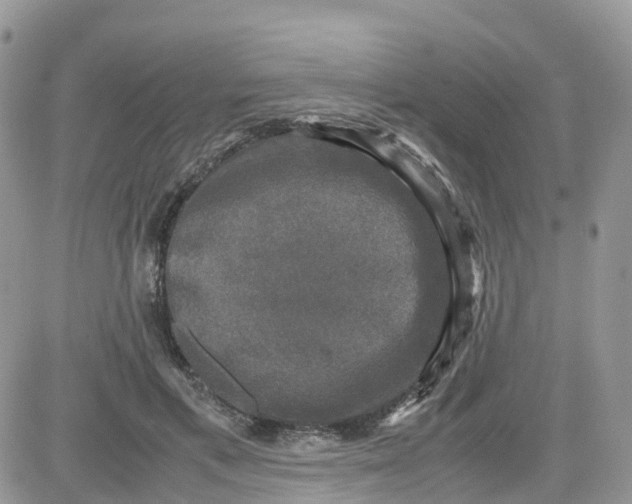 X0000081570597200701291217