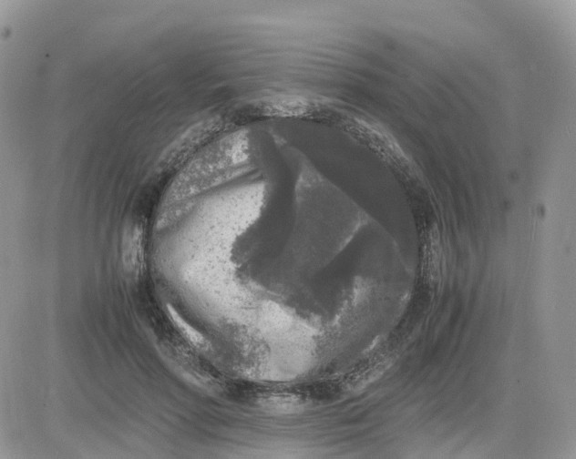 X0000081570598200701291217