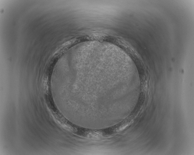 X0000081570599200701291217