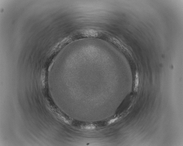 X0000081570600200701291217