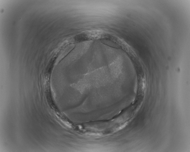 X0000081570601200701291217