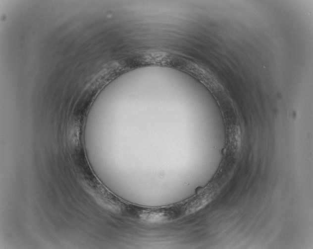 X0000081570602200701291217