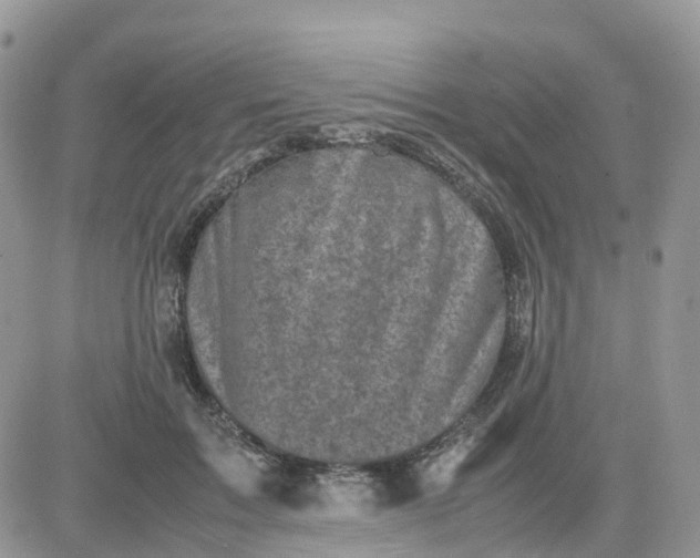 X0000081570603200701291217