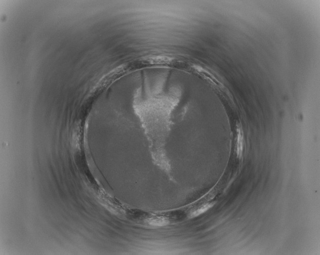 X0000081570604200701291217