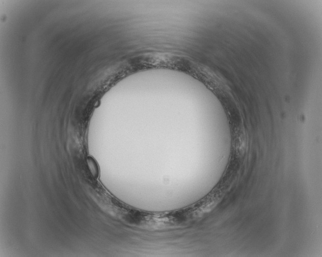 X0000081570607200701291217