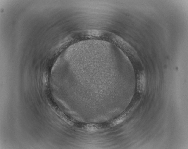 X0000081570608200701291217