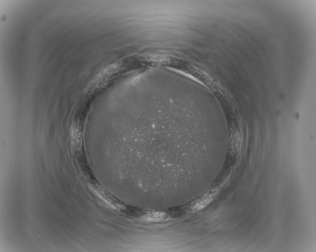 X0000081570609200701291216